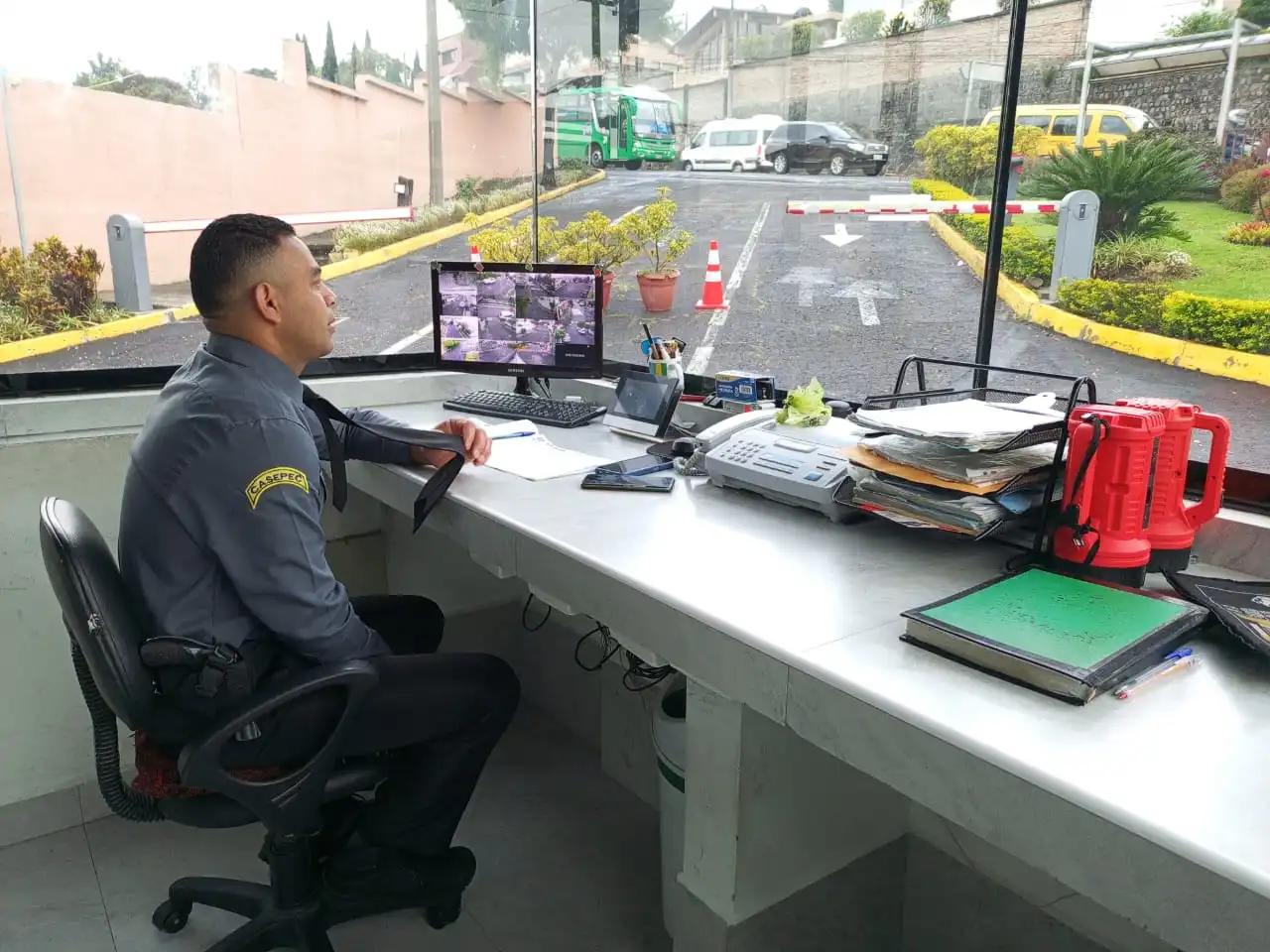 Compañía se seguridad física y electrónica